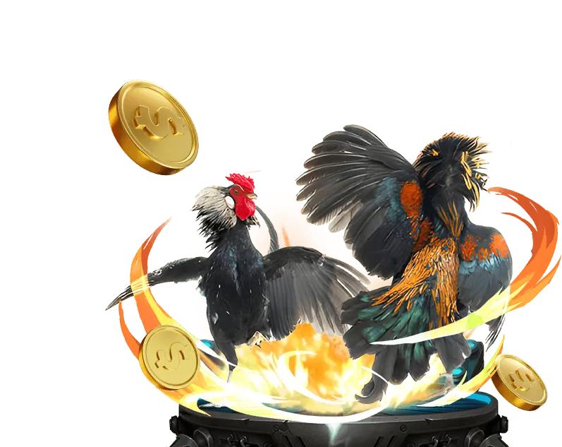 Hoàn trả casino NEW88